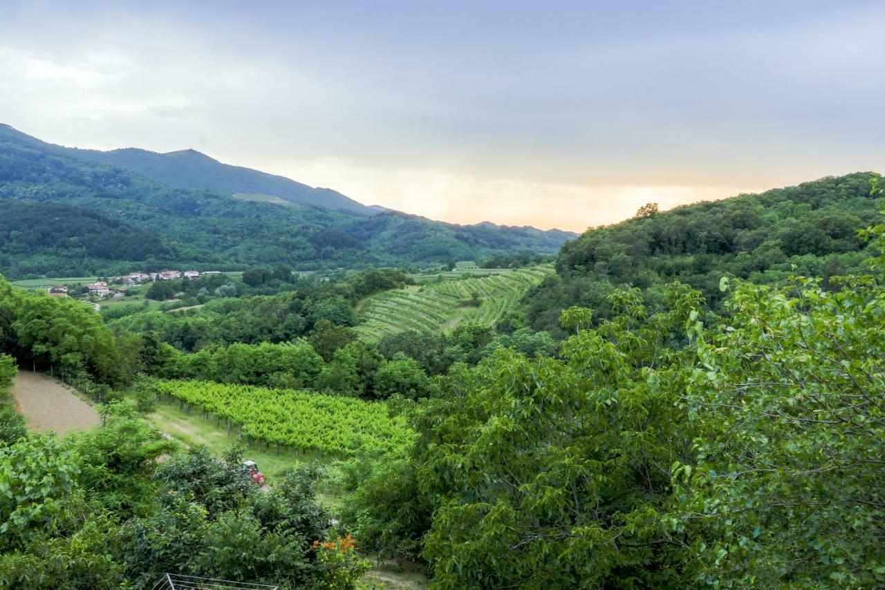 Cebron Family Estate Hotel Branik Kültér fotó
