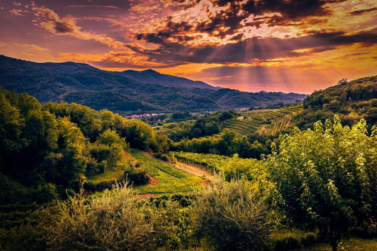 Cebron Family Estate Hotel Branik Kültér fotó